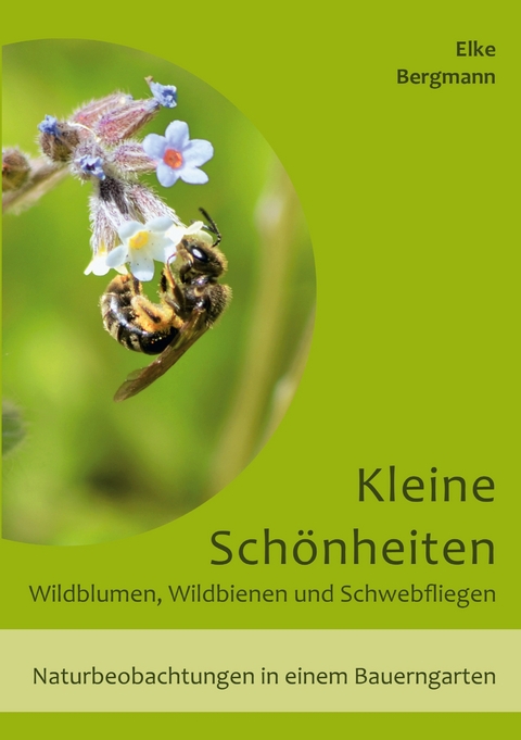 Kleine Sch&ouml;nheiten - Wildblumen, Wildbienen und Schwebfliegen - Elke Bergmann