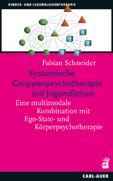Systemische Gruppenpsychotherapie mit Jugendlichen - Fabian Schneider