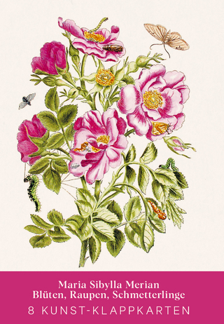 Maria Sibylla Merian – Acht Kunst-Klappkarten