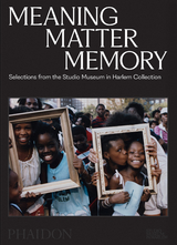 Meaning Matter Memory - Thelma Golden, Connie H. Choi, Mary Schmidt Campbell, Kinshasha Holman-Conwill, Lowery Stokes Sims