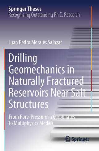 Drilling Geomechanics in Naturally Fractured Reservoirs Near Salt Structures