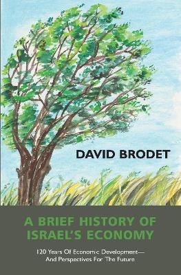 A Brief History of Israel&rsquo;s Economy - David Brodet