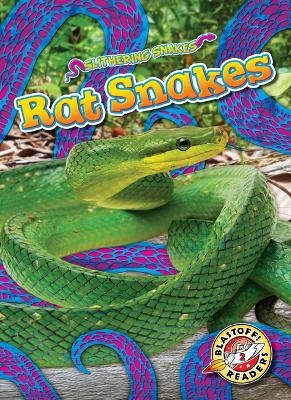 Rat Snakes - Joanne Mattern