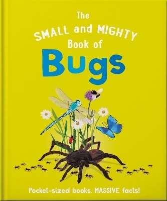 The Small and Mighty Book of Bugs - Catherine Brereton