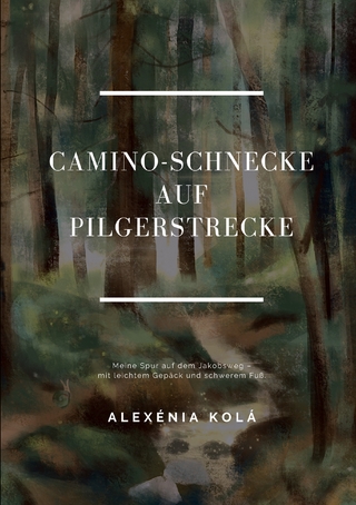 Caminoschnecke auf Pilgerstrecke