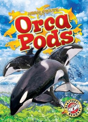 Orca Pods - Rachel Grack