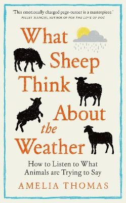 What Sheep Think About the Weather - Amelia Thomas