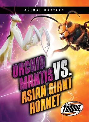 Orchid Mantis vs. Asian Giant Hornet - Nathan Sommer