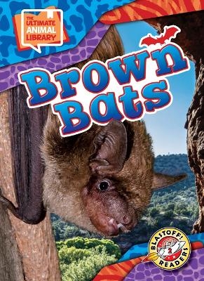 Brown Bats