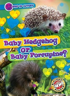 Baby Hedgehog or Baby Porcupine?