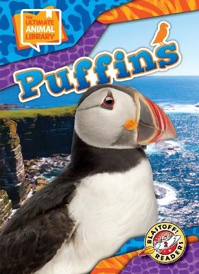 Puffins - Chris Bowman