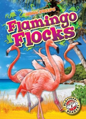 Flamingo Flocks - Rachel Grack