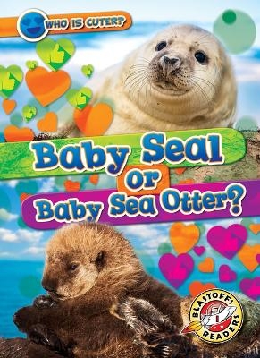 Baby Seal or Baby Sea Otter?
