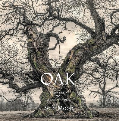 Oak - Beth Moon
