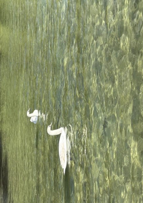 Last Archives - ROO bLUe