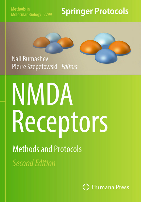 NMDA Receptors - 