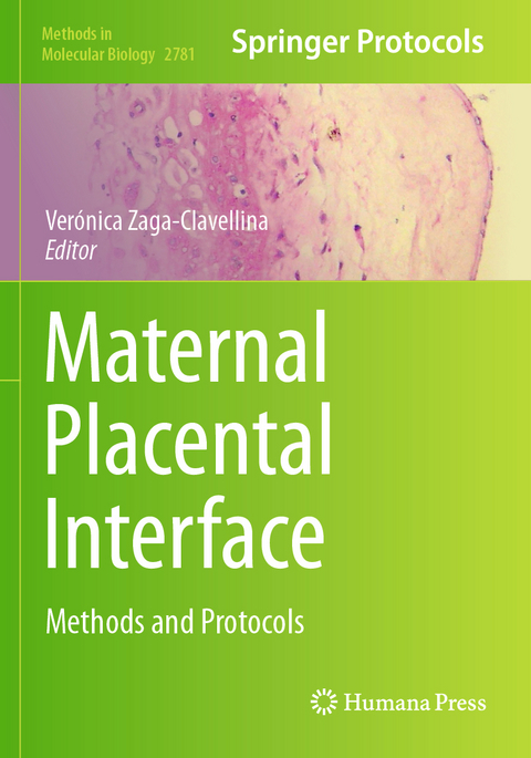 Maternal Placental Interface - 