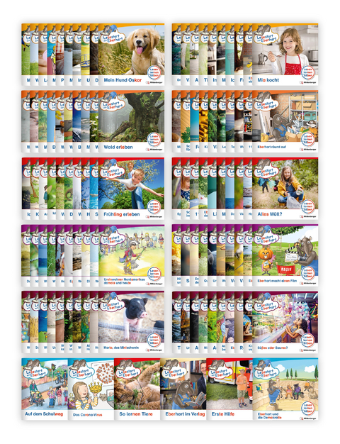 Paket &ndash; Lesestart mit Eberhart, Lesestufe 1 bis 5: Komplettbezug Heft 1-100 plus Sonderhefte - Stefanie Drecktrah, Nicole Brandau