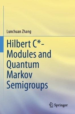 Hilbert C*- Modules and Quantum Markov Semigroups - Lunchuan Zhang