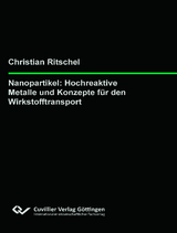 Nanopartikel: Hochreaktive Metalle und Konzepte f&uuml;r den Wirkstofftransport - Christian Ritschel