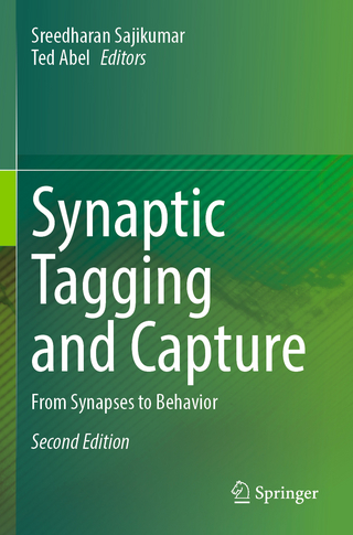 Synaptic Tagging and Capture