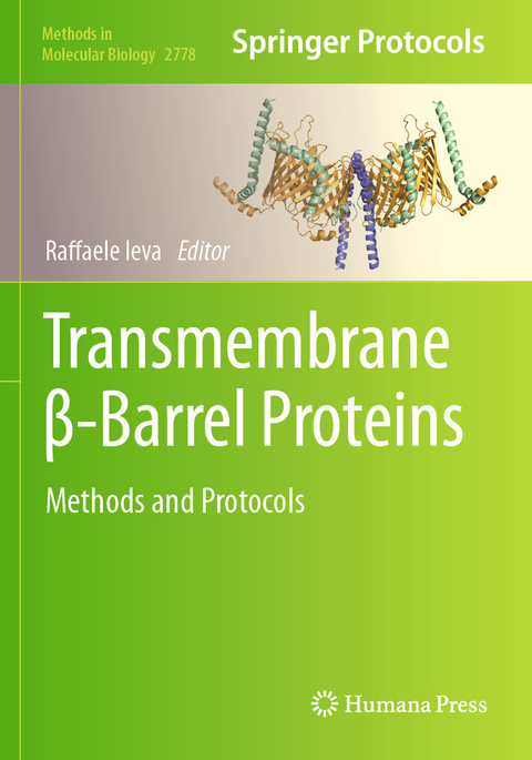 Transmembrane &beta;-Barrel Proteins - 