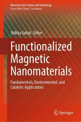 Functionalized Magnetic Nanomaterials - 