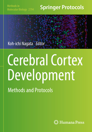 Cerebral Cortex Development