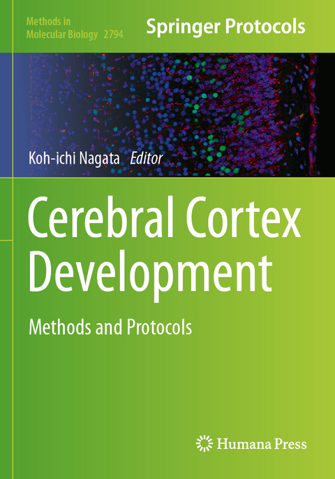 Cerebral Cortex Development - 