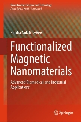 Functionalized Magnetic Nanomaterials - 