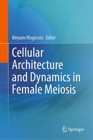 Cellular Architecture and Dynamics in Female Meiosis