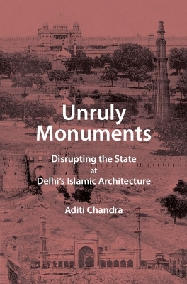 Unruly Monuments - Aditi Chandra