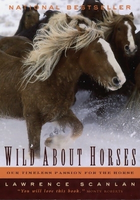 Wild About Horses - Lawrence Scanlan