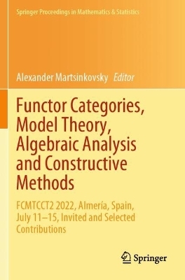 Functor Categories, Model Theory, Algebraic Analysis and Constructive Methods