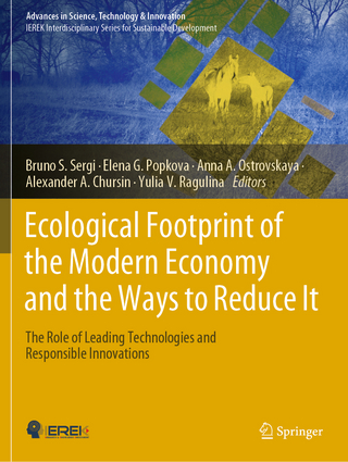 Ecological Footprint of the Modern Economy and the Ways to Reduce It