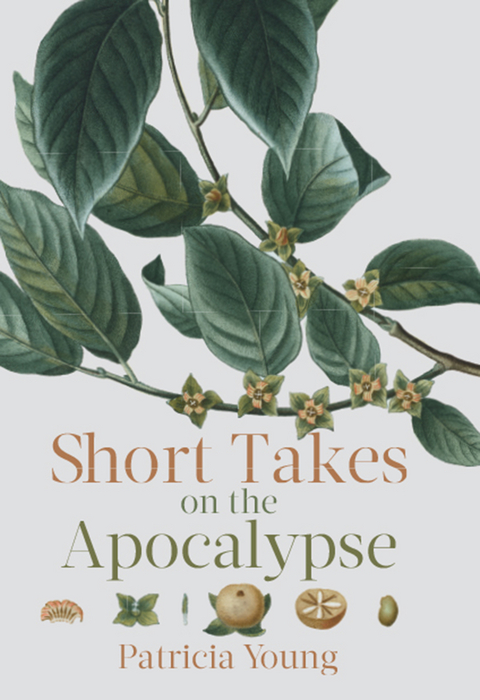 Short Takes on the Apocalypse - Patricia Young