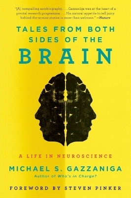 Tales from Both Sides of the Brain