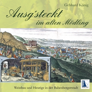 Ausg'steckt im alten Mödling