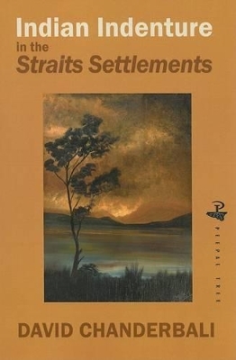 Indian Indenture In British Malaya: Policy and practice in the Straits Settlements - David Chanderbali