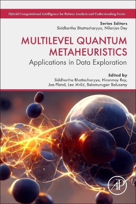 Multilevel Quantum Metaheuristics - 