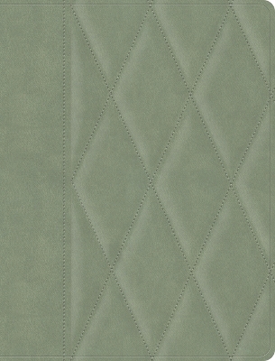 CSB Notetaking Bible, Large Print Edition, Sage Suedesoft Leathertouch Over Board