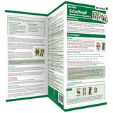 Schafkopf verstehen – spielen – gewinnen: Alles auf einen Blick! - Aaron Kübler