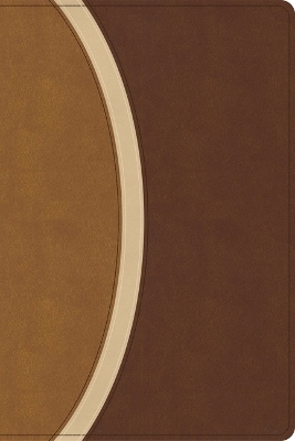 CSB Rainbow Study Bible, Brown Leathertouch (Limited Edition) -  Csb Bibles by Holman