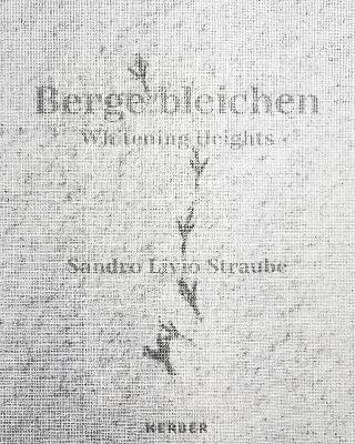 Sandro Livio Straube - 