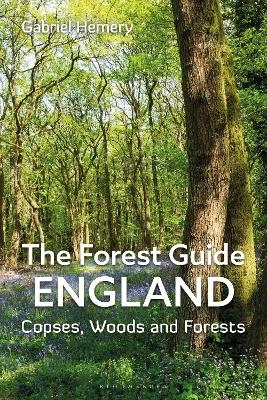 The Forest Guide: England
