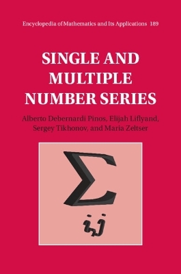 Single and Multiple Number Series - Alberto Debernardi Pinos, Elijah Liflyand, Sergey Tikhonov, Maria Zeltser