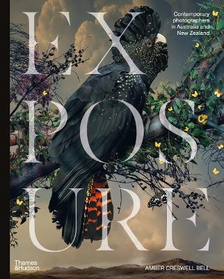 Exposure - Amber Creswell Bell