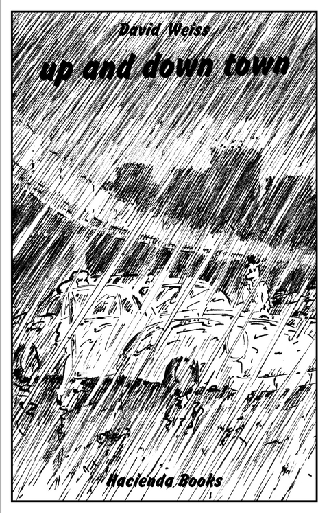 David Weiss – up and down town / Regenbüchlein - 