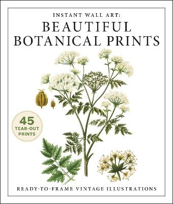 Instant Wall Art: Beautiful Botanical Prints -  Adams Media