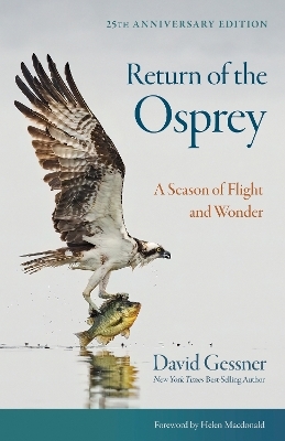Return of the Osprey